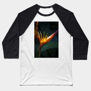 Sunlit Orange Yellow Heliconia Flower Baseball T-Shirt